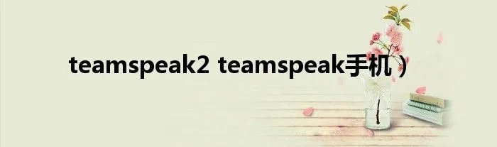 teamspeak2 teamspeak手机）