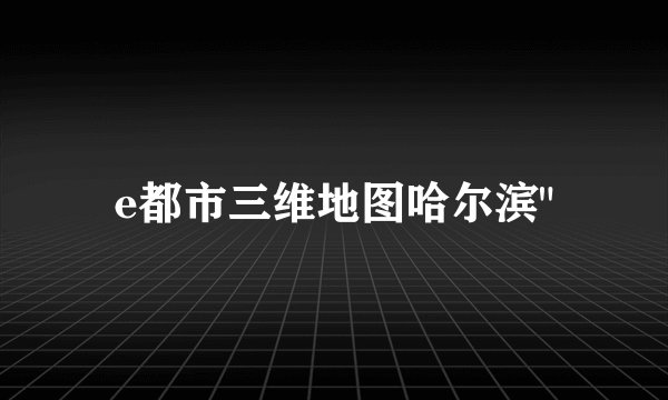 e都市三维地图哈尔滨