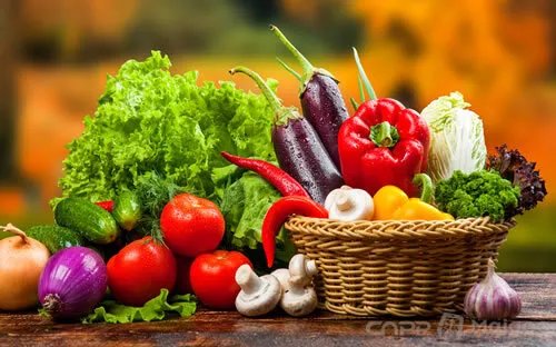 2022年国家食品安全示范城市名单发布 中国食品安全示范城市有哪些