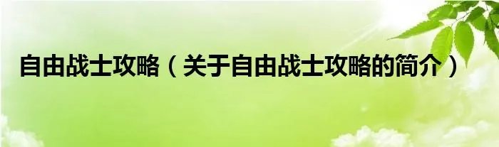 自由战士攻略（关于自由战士攻略的简介）