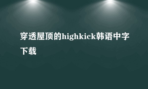 穿透屋顶的highkick韩语中字下载