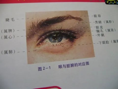 瑶医目诊图-望面诊病图解-目诊