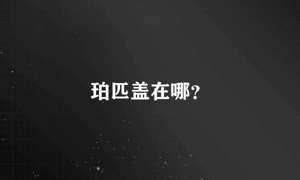 珀匹盖在哪？