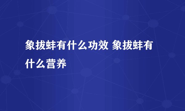 象拔蚌有什么功效 象拔蚌有什么营养