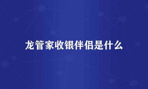 龙管家收银伴侣是什么