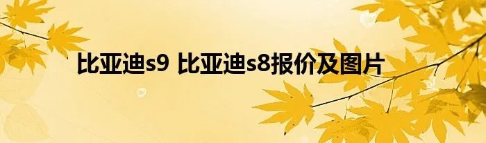 比亚迪s9 比亚迪s8报价及图片
