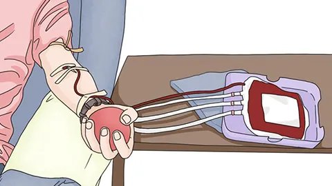 缺铁性贫血最常见的原因