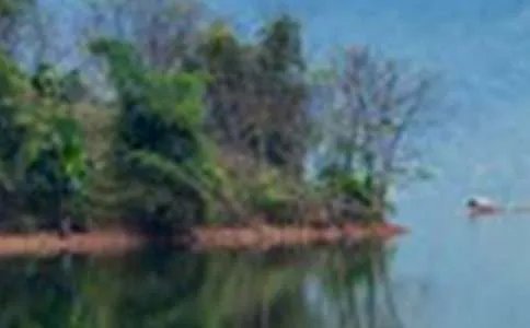 描写山水的句子摘抄