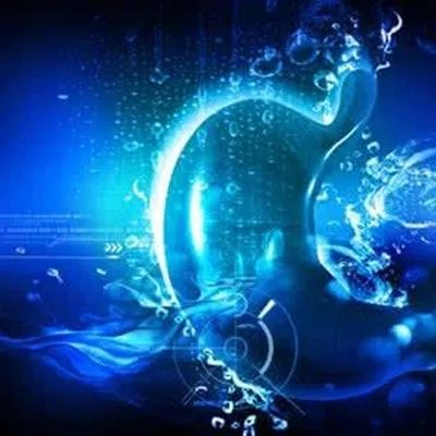 禽流感鸡蛋能吃吗