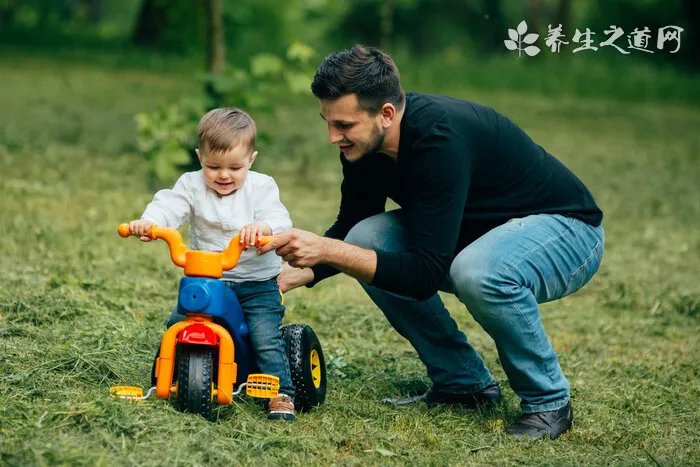 重庆公安交通违章查询网站入口