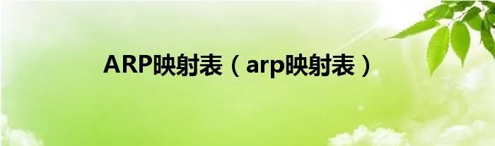 ARP映射表（arp映射表）