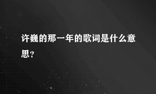 许巍的那一年的歌词是什么意思？
