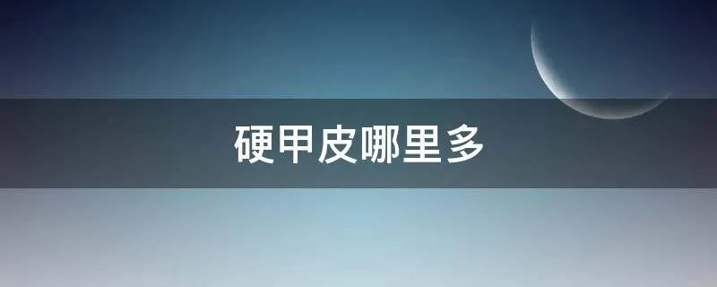 硬甲皮哪里多