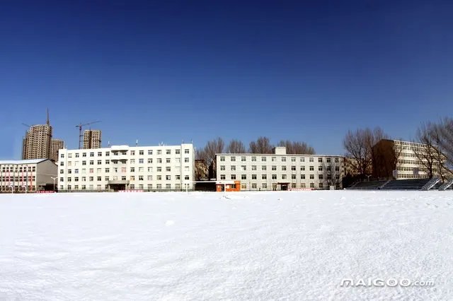 辽阳有哪些大学 辽阳市大学排名 辽阳大学名单一览【大学名录】