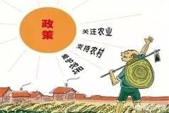 农村补贴项目有哪些？