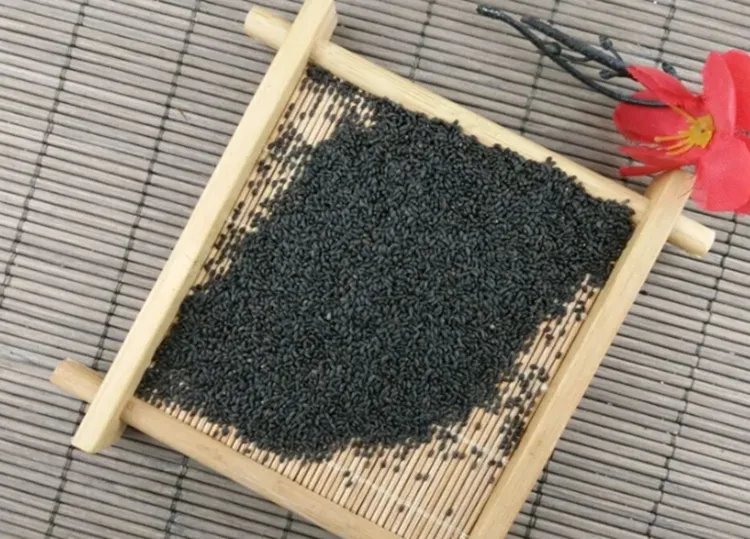 明列子的功效与作用