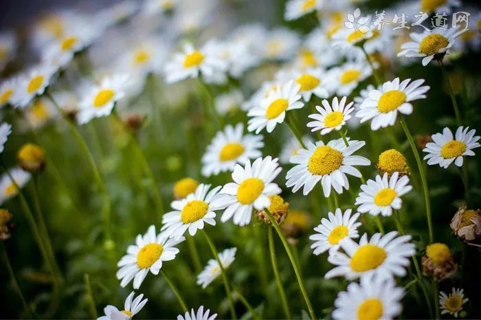 如何在军训后快速美白