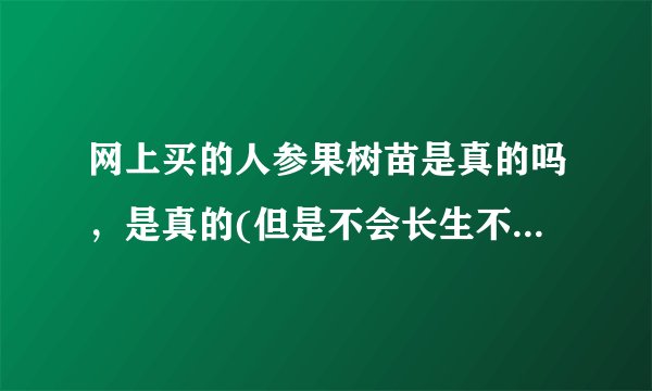 网上买的人参果树苗是真的吗，是真的(但是不会长生不老)—飞外