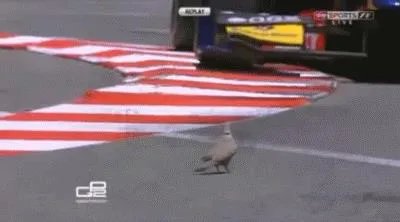 亚洲女平衡大师简介（搞笑趣图：蛇精转世！舌头舔鼻尖）