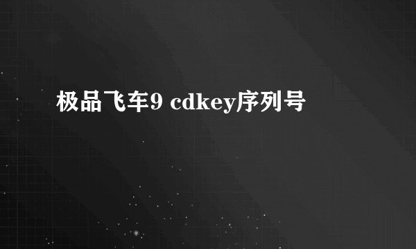 极品飞车9 cdkey序列号