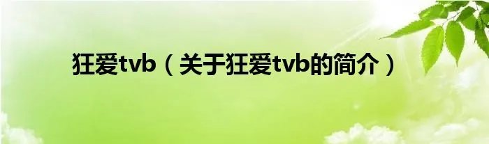 狂爱tvb（关于狂爱tvb的简介）
