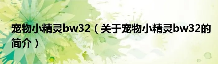 宠物小精灵bw32（关于宠物小精灵bw32的简介）