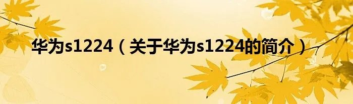 华为s1224（关于华为s1224的简介）