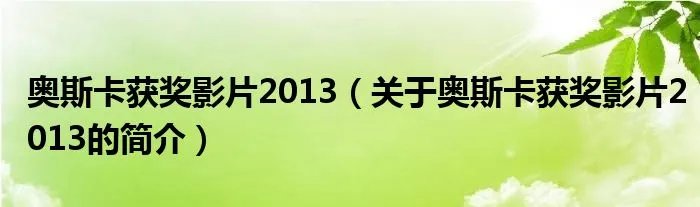 奥斯卡获奖影片2013（关于奥斯卡获奖影片2013的简介）