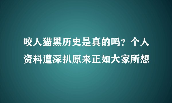 咬人猫黑历史是真的吗？个人资料遭深扒原来正如大家所想