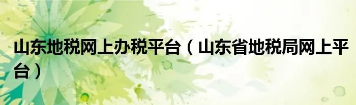 山东地税网上办税平台（山东省地税局网上平台）