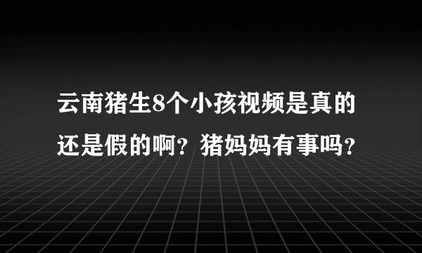 云南猪生8个小孩视频是真的还是假的啊？猪妈妈有事吗？