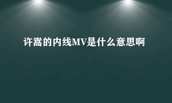 许嵩的内线MV是什么意思啊
