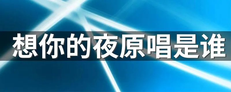想你的夜原唱是谁 想你的夜歌词欣赏