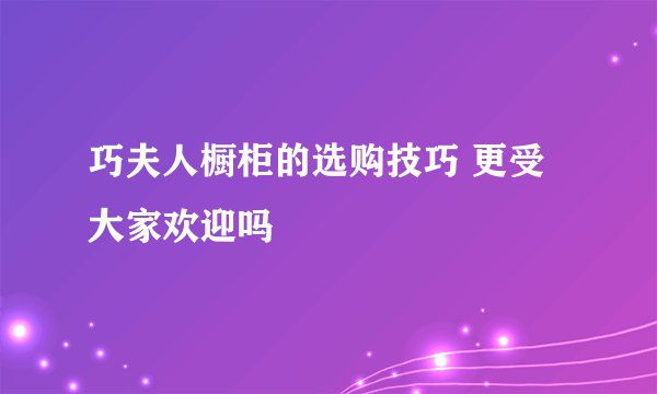 巧夫人橱柜的选购技巧 更受大家欢迎吗