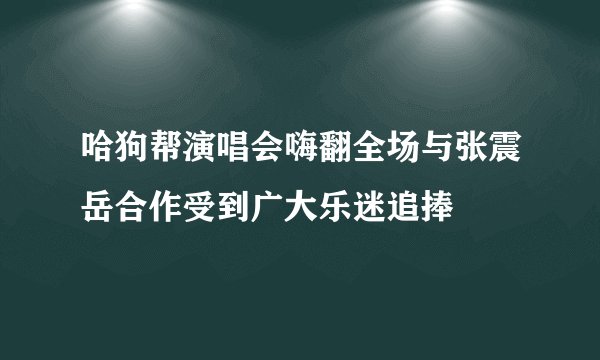 哈狗帮演唱会嗨翻全场与张震岳合作受到广大乐迷追捧
