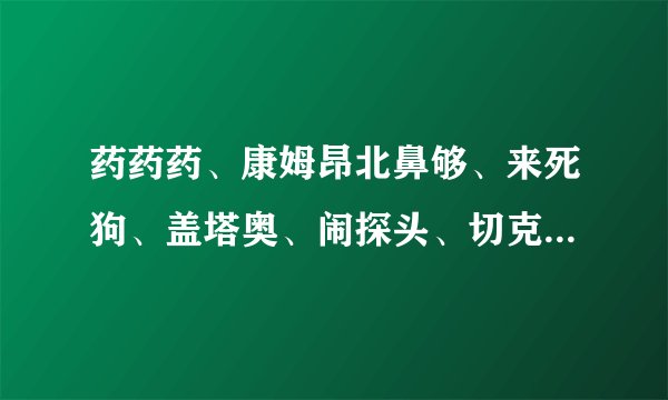 药药药、康姆昂北鼻够、来死狗、盖塔奥、闹探头、切克闹是什么意思？