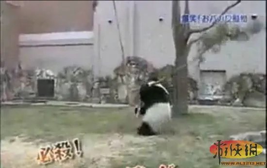 让人蛋疼 盘点武侠世界里最常见的50个经典桥段