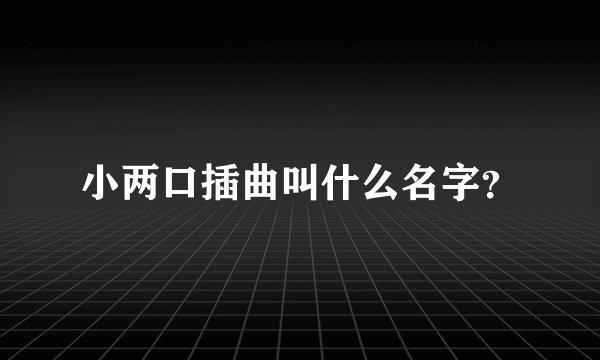 小两口插曲叫什么名字？