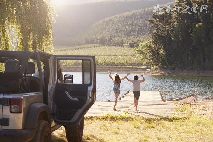 犬瘟试纸怎么用