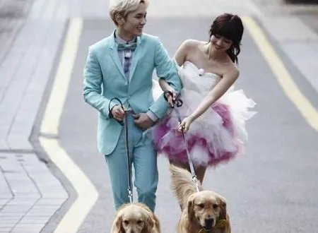 我们结婚了世界版