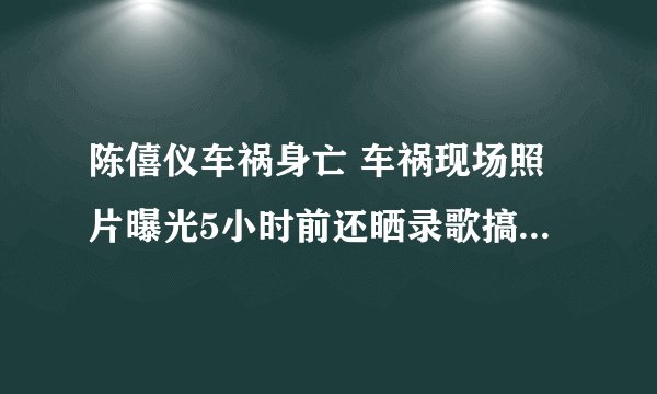 陈僖仪车祸身亡 车祸现场照片曝光5小时前还晒录歌搞怪照(3)