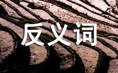 歧视的反义词是什么