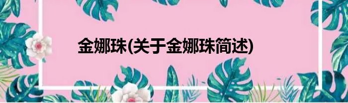 金娜珠(关于金娜珠简述)