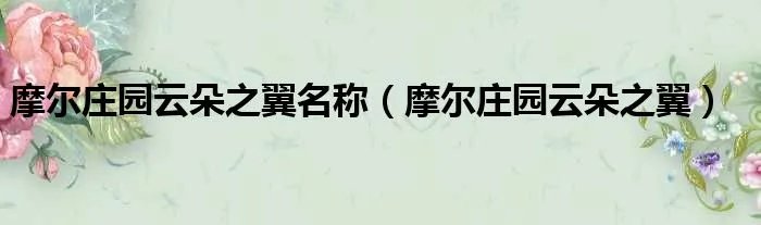 摩尔庄园云朵之翼名称（摩尔庄园云朵之翼）