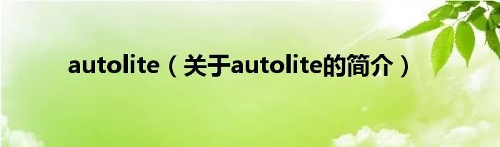 autolite（关于autolite的简介）