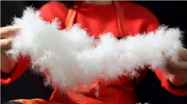 灰鸭绒好还是白鸭绒好