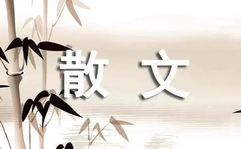 梦很近又很远随笔散文