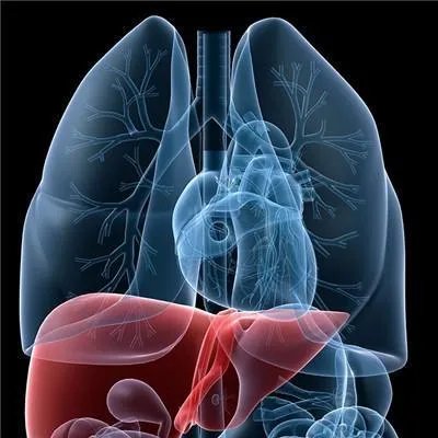 肝病科医院有哪些