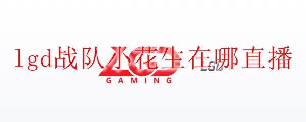 lgd战队小花生在哪直播