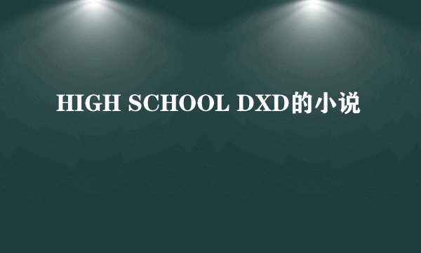 HIGH SCHOOL DXD的小说